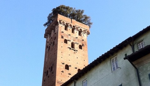 La Torre Guinigi